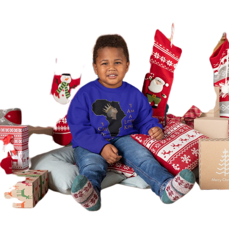 The Little King Apparel Tees & Sweat Shirt