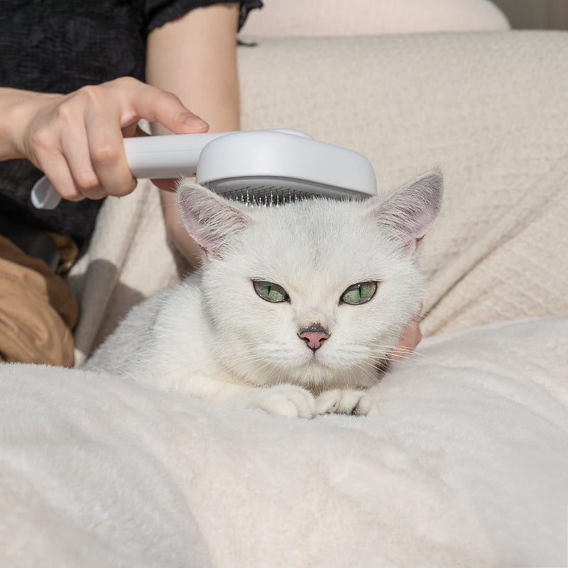 Aumuca Self Cleaning Slicker Brush for Cat