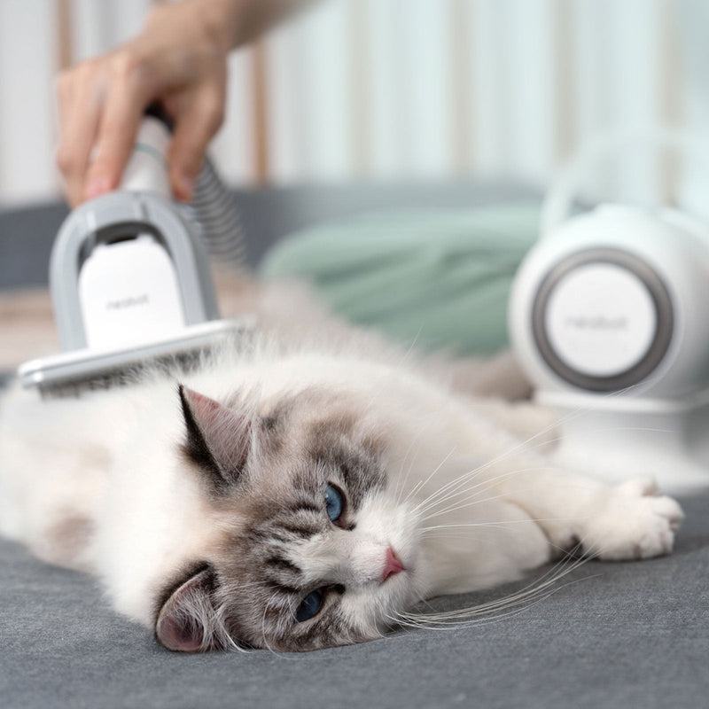 Neabot P1 Pro Professional Pet Grooming Vacuum Kit  | Hair Clipper